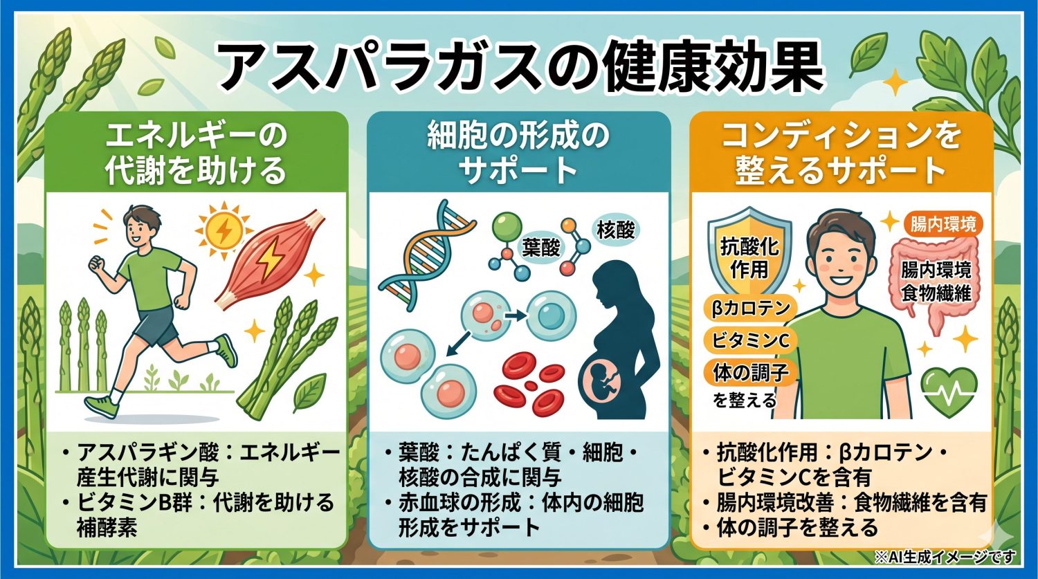 アスパラガスの健康効果