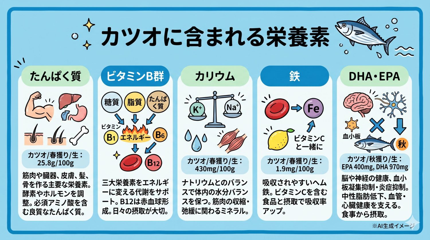 カツオに含まれる栄養素