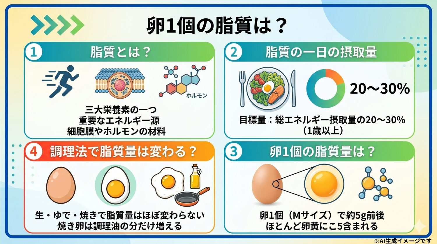 卵1個の脂質は？