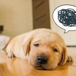 うつ病はもはや身近な病気です！うつ病の原因や治療について