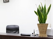 リライフ鍼灸整骨院詳細写真1