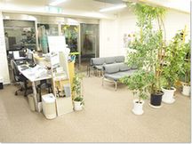 こくしゅ塾　わかば鍼灸整骨院詳細写真1