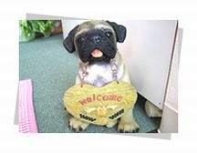 Cure Care Chiro rennkaれんか詳細写真1