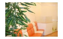 ナチュラ歯科クロスガーデン川崎クリニック詳細写真1