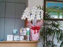 大島歯科詳細写真1