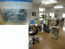 円谷歯科医院詳細写真2
