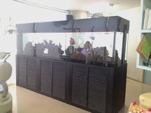 太陽歯科医院詳細写真2