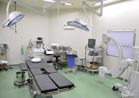 服部整形外科皮フ科詳細写真2