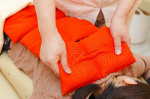 こころ整骨院大山院詳細写真2