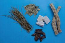 のはら元氣クリニック詳細写真2