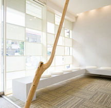 こいずみ鍼灸整骨院／波徐詳細写真2