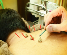 一鍼入魂堂 小石川治療院詳細写真2