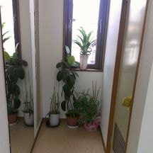 木曽川歯科医院詳細写真2