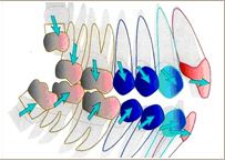 もりデンタルクリニック詳細写真3