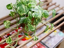 リライフ鍼灸整骨院詳細写真3