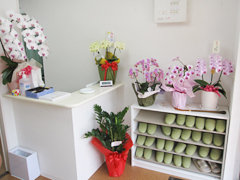 みょうが谷整骨院詳細写真3