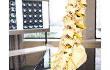 健康堂整骨院詳細写真3