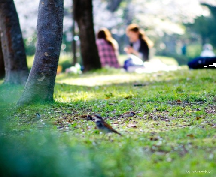 みつゆき接骨院詳細写真3
