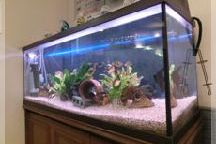 ムカエ歯科医院詳細写真3