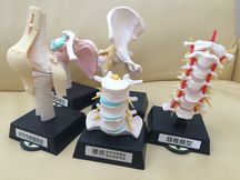 はっぴぃ接骨院詳細写真3