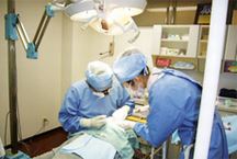 むさしの歯科クリニック詳細写真3