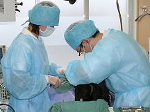 はやし歯科医院詳細写真3