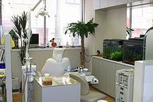 堀田歯科医院詳細写真3