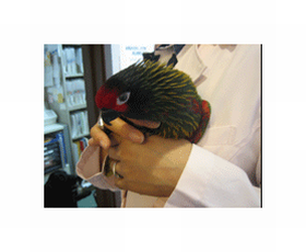 れいこメンタルクリニック