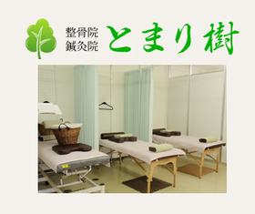 整骨院鍼灸院とまり樹
