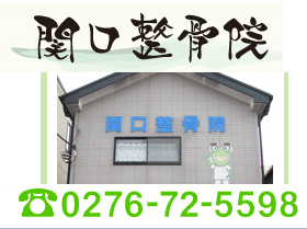 関口整骨院