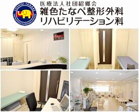 雑色たなべ整形外科リハビリテーション科