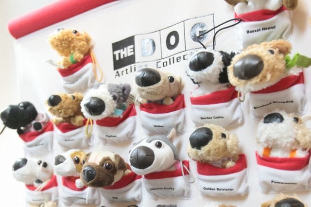 宮本矯正歯科医院