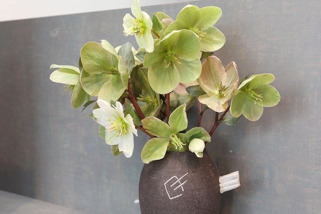 横川町歯科医院